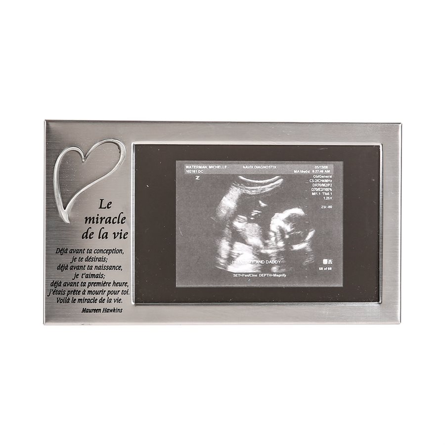 ''Le miracle de la vie'' Pewter Frame, 4" x 6", Fren